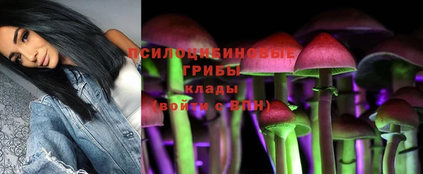 прущая мука Абаза