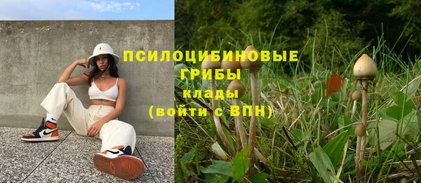 прущая мука Абаза