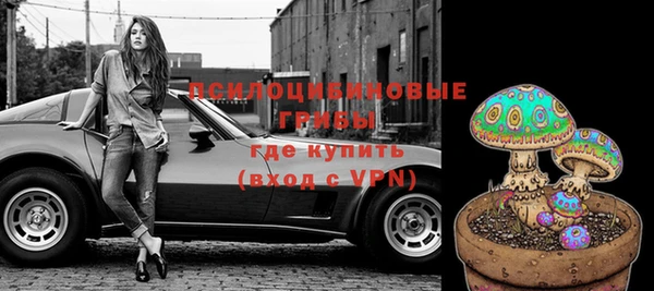 прущая мука Абаза
