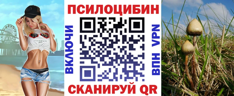 Галлюциногенные грибы мицелий  нарко площадка Telegram  Петров Вал  OMG как войти 